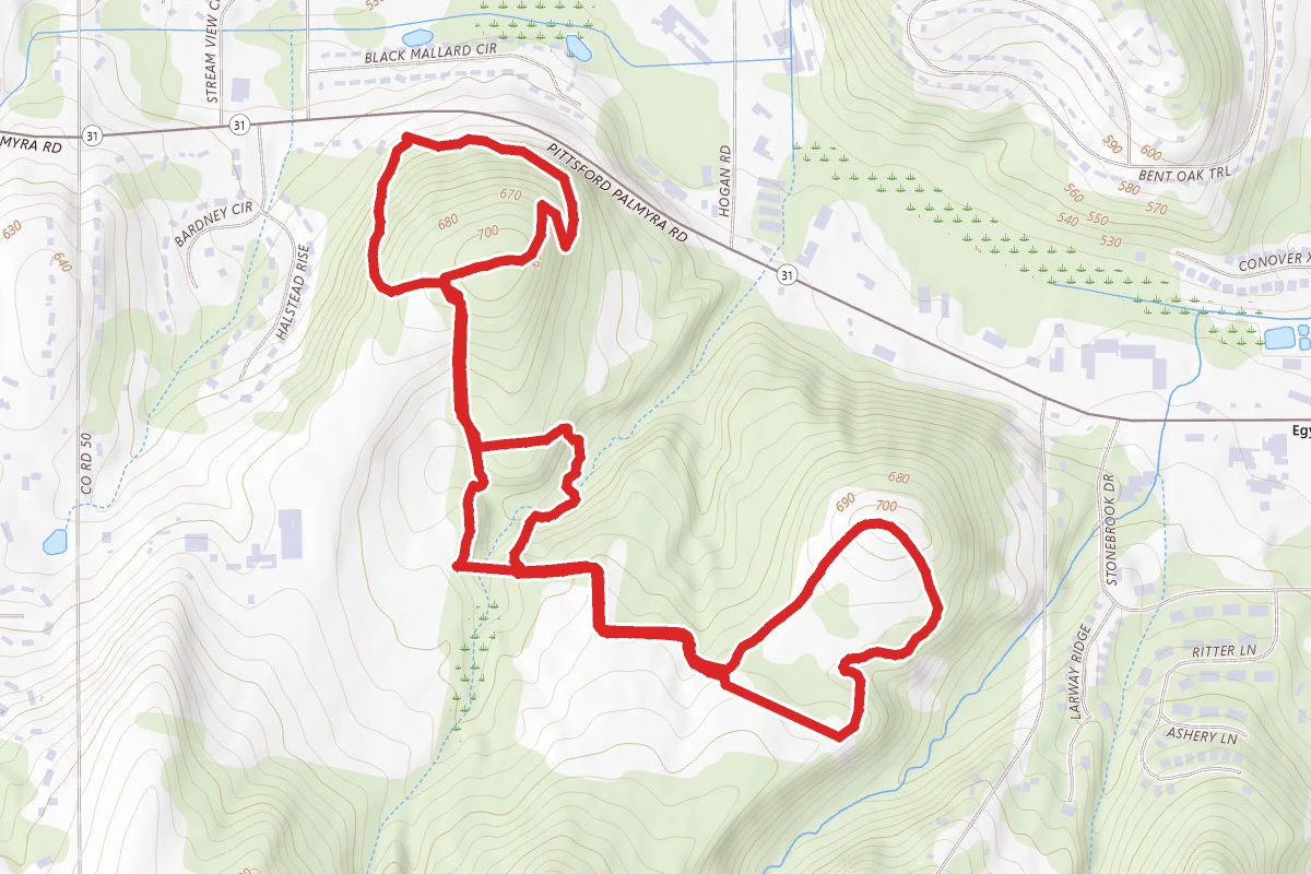 Thayer Hill Loop