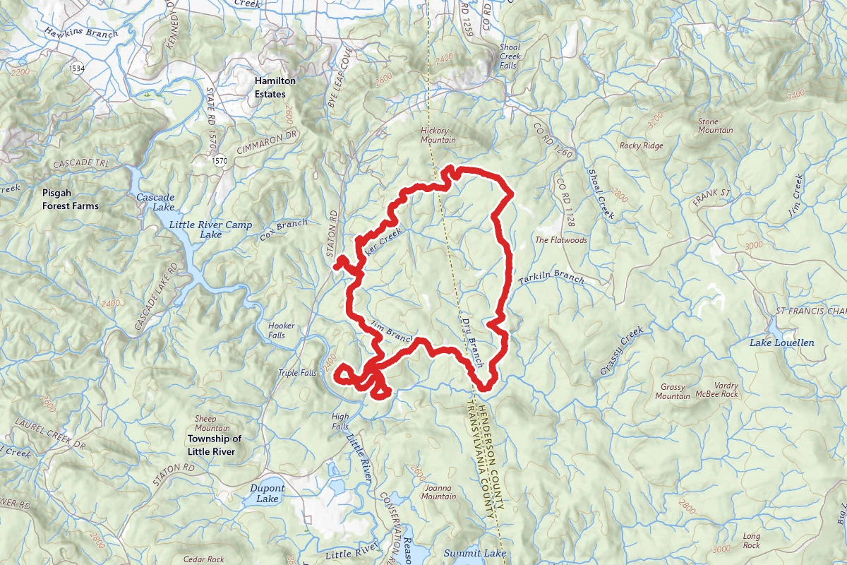 Dupont Ridgeline Trail Loop
