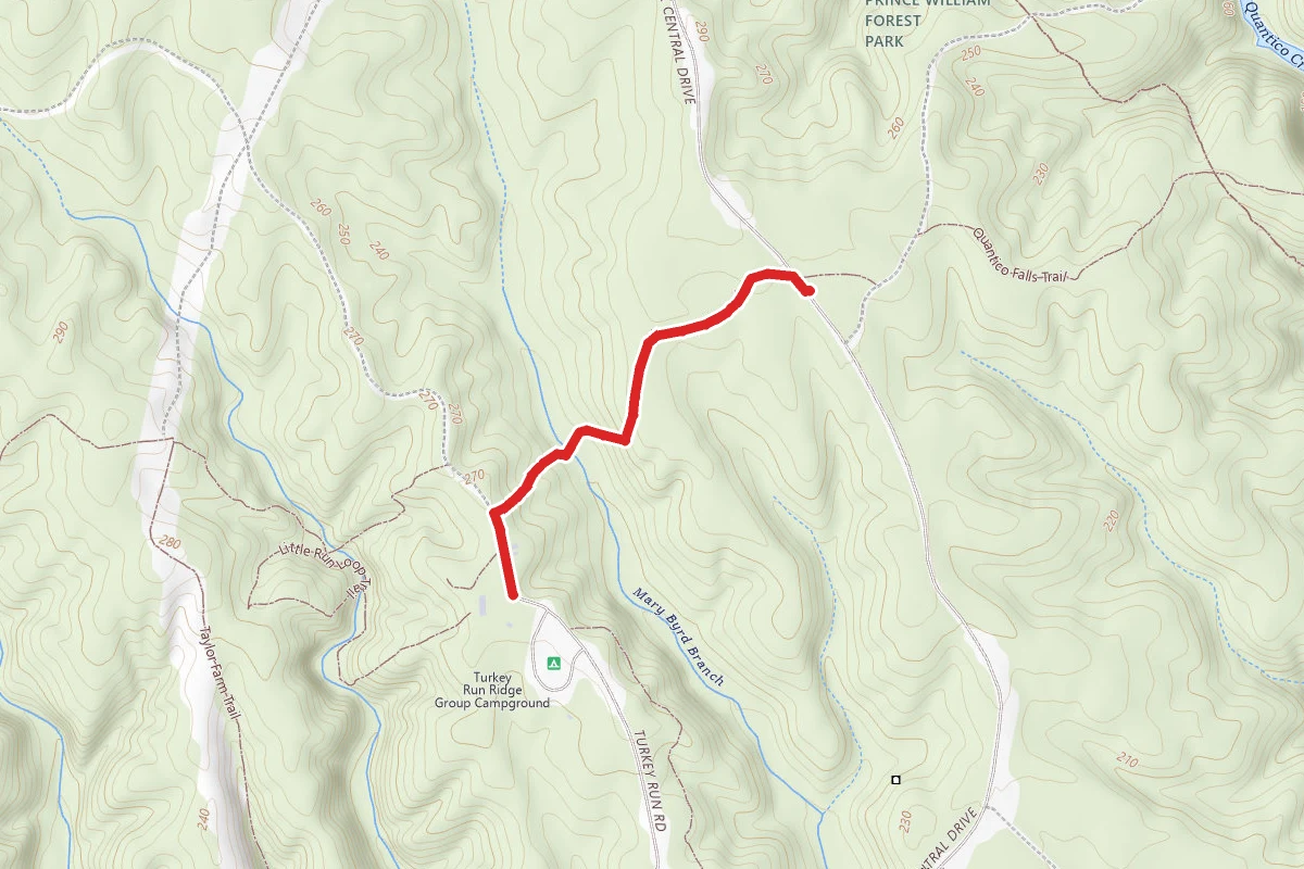 Mary Bird Branch Trail