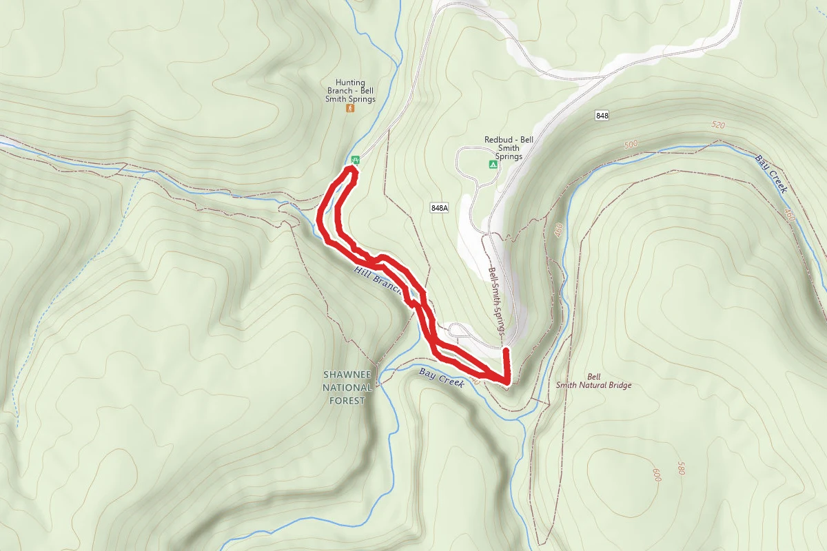 Bell Smith Springs White Trail Loop