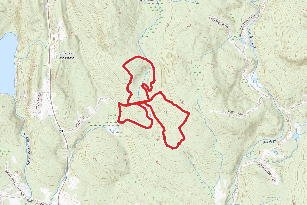 Albert Family Community Forest