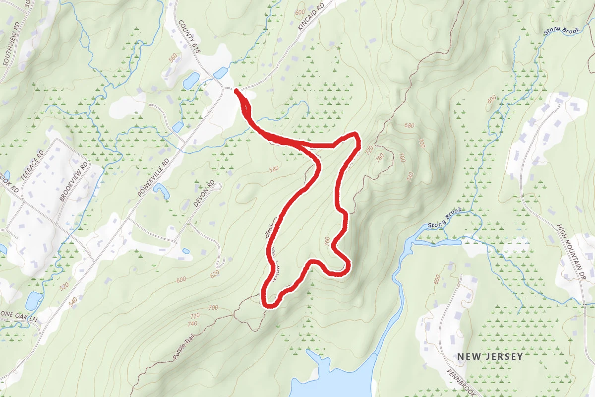 Kincaid Woods Yellow Trail Loop