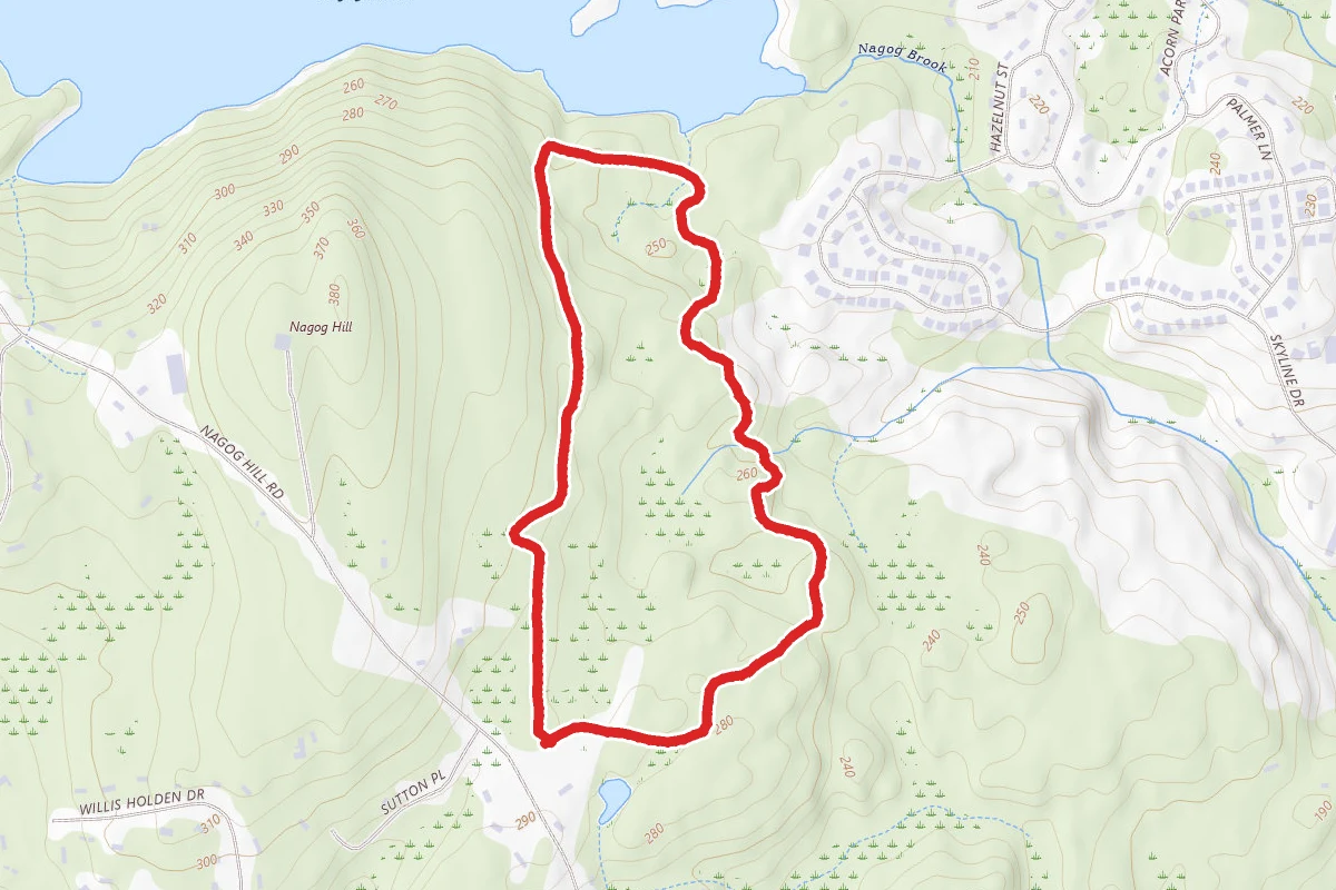 Nagog Hill Yellow, Red, and Blue Trail