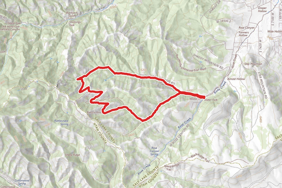 Yellow Fork Canyon Trail