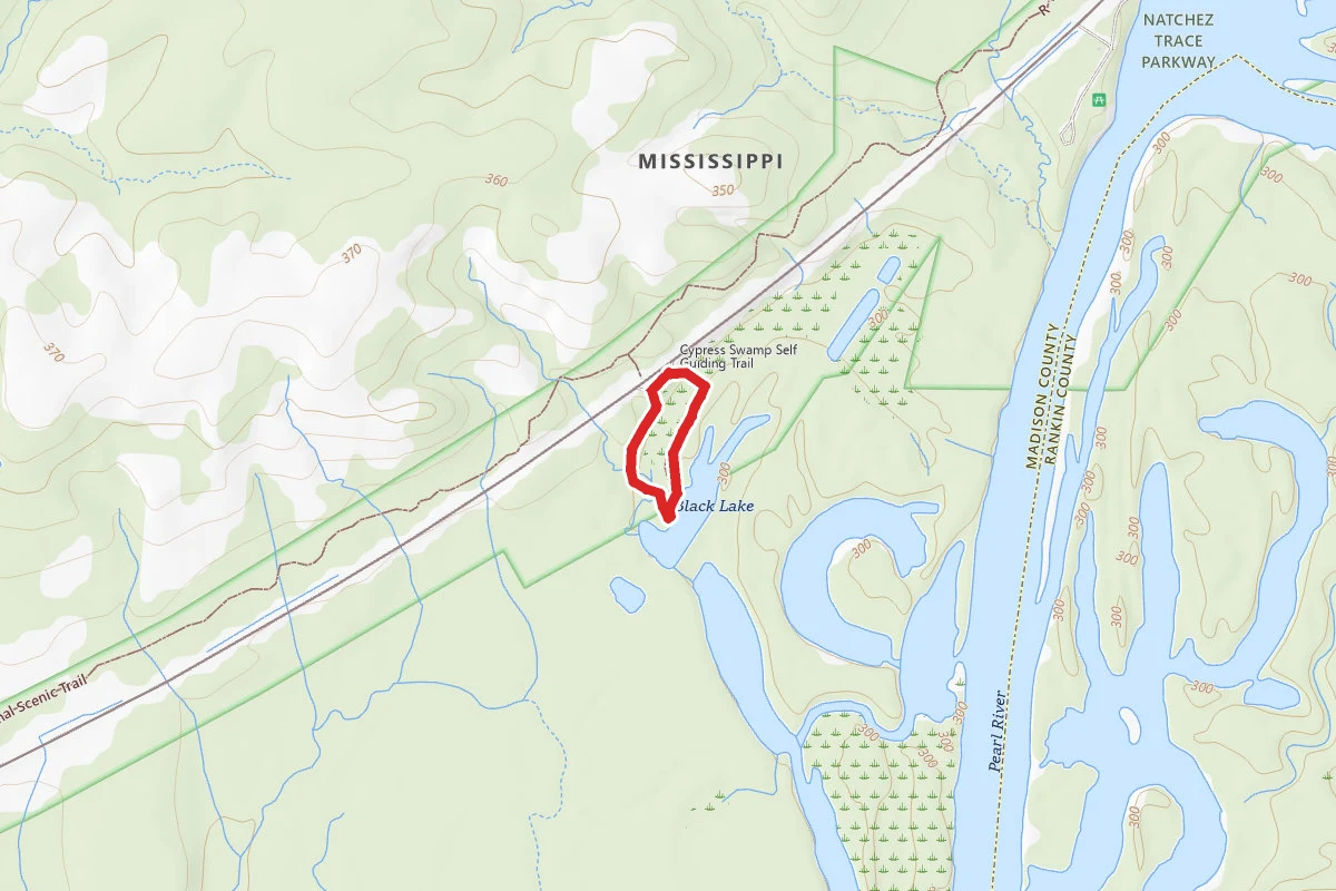 Natchez Trace Parkway - Cypress Swamp Hike