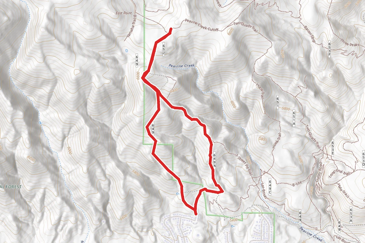Peavine Vista Loop Trail