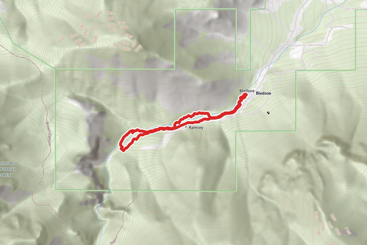 Ramsey Canyon Trail