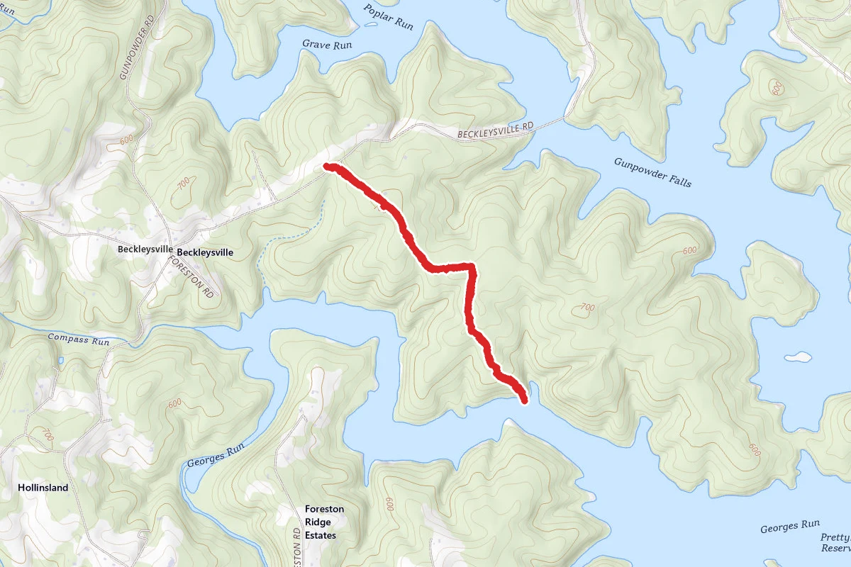 Logging Road Trail