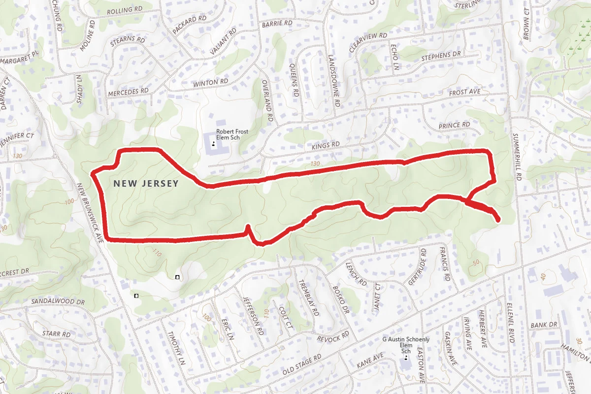 Frost Woods Loop