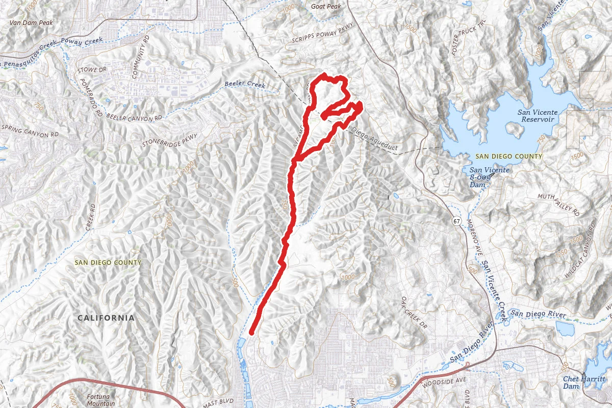 Stowe Trail to Martha Grove Trail to Cardiac Hill Loop