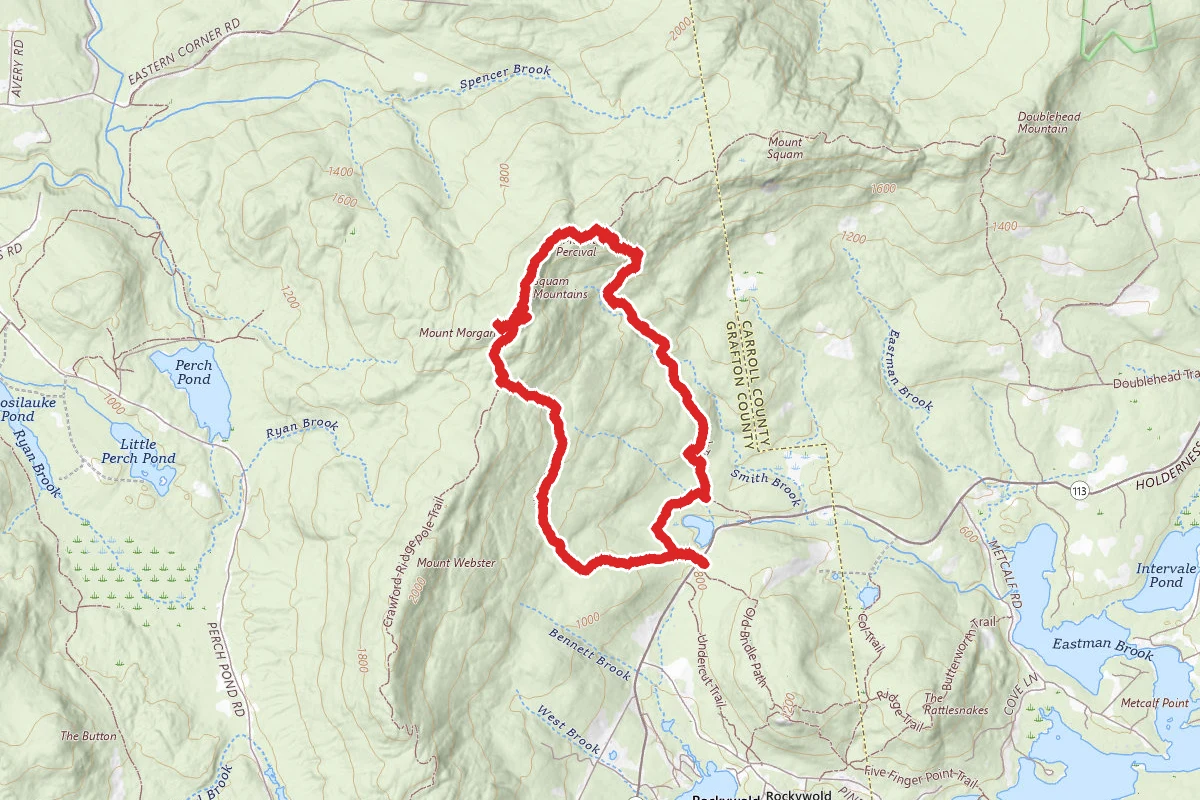 Mount Morgan and Mount Percival Loop