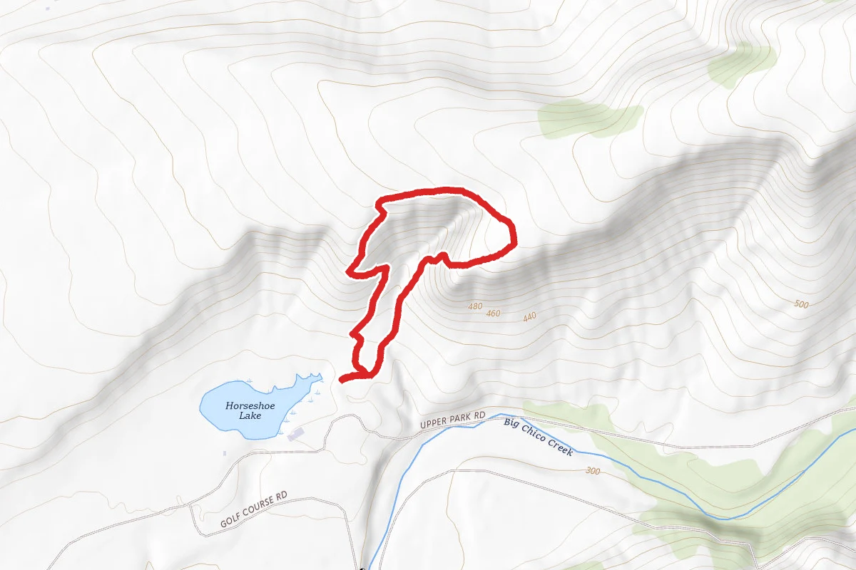 Monkey Face Loop