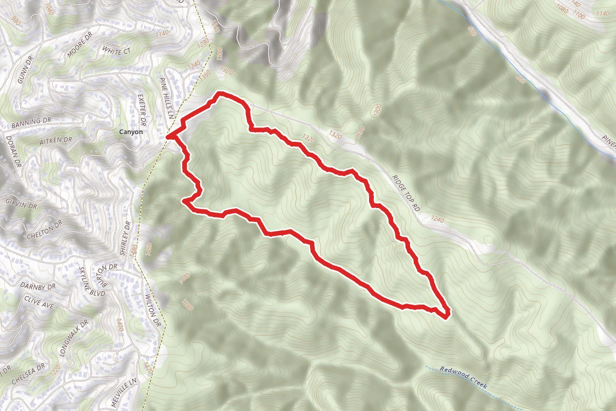 East Ridge, Phillips, Eucalyptus and Stream Trail Loop