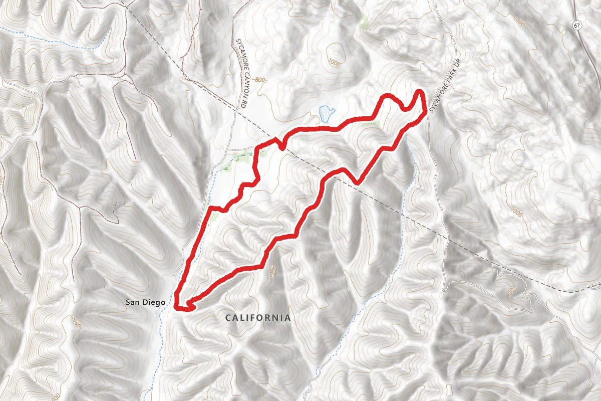 Cardiac Hill and Ridge Loop