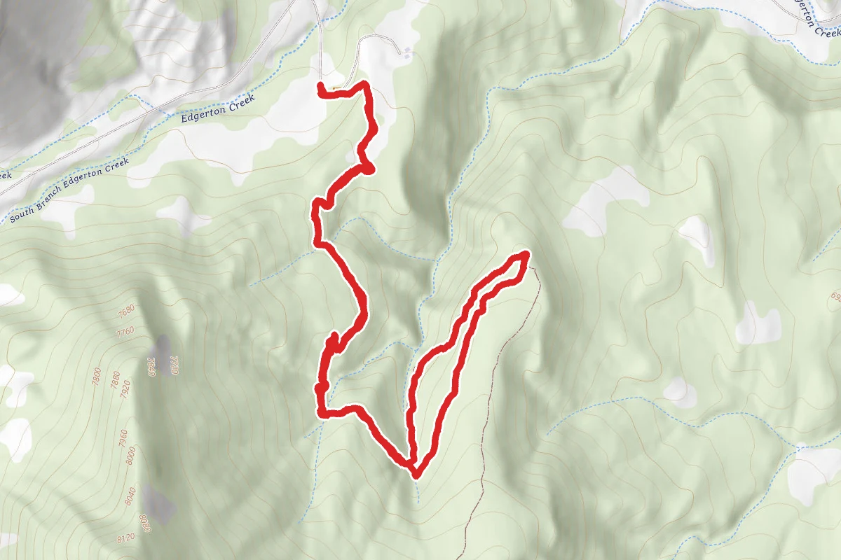 The Lorax Trail