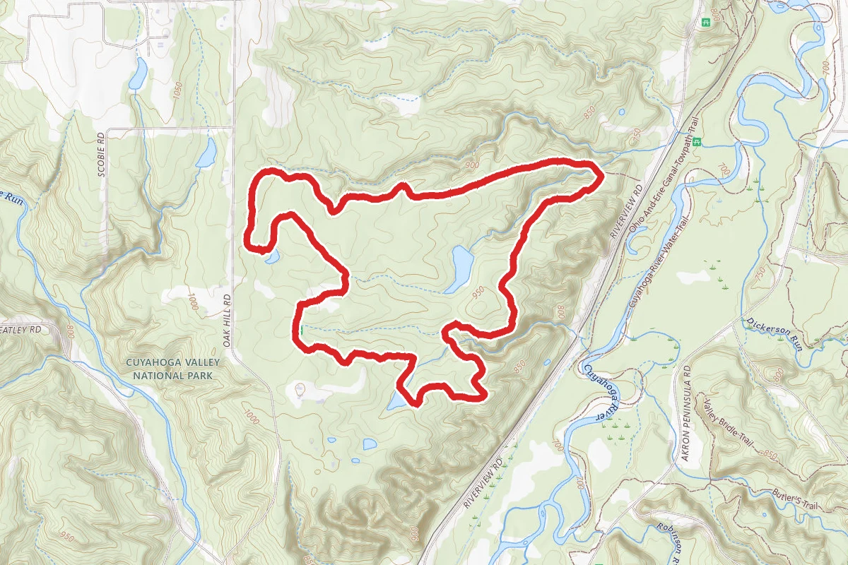 Plateau Trail