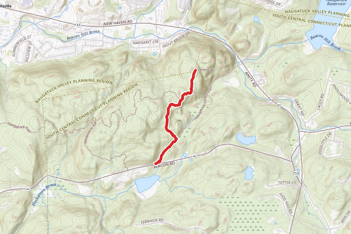 Beacon Cap via Naugatuck Trail and Beacon Cap Trail