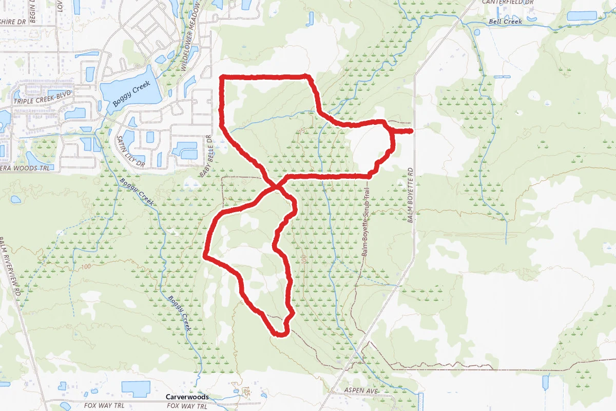 Boggy Creek Trail and Balm-Boyette Scrub Trail
