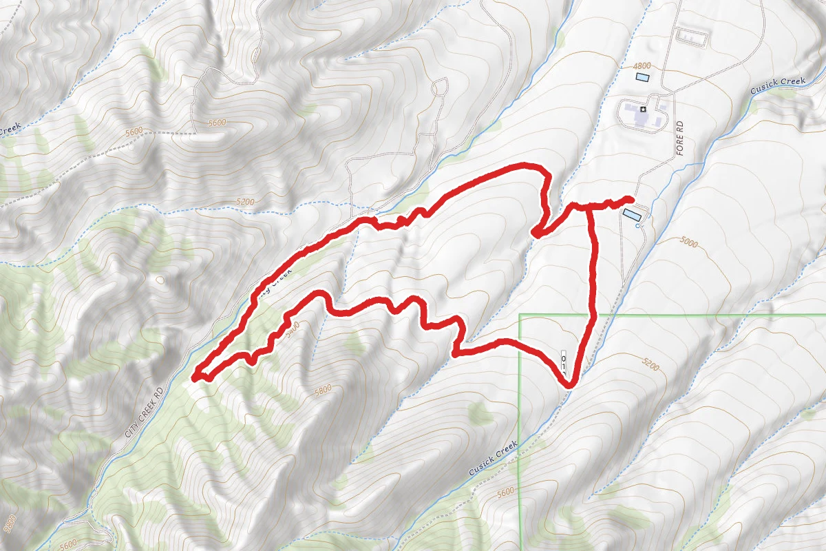 Cusick Creek Loop Trail