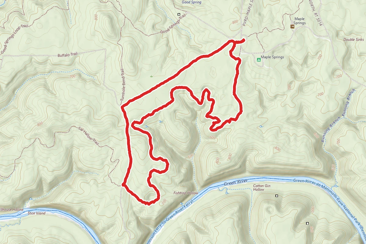 Sal Hollow and Buffalo Creek Loop Trail