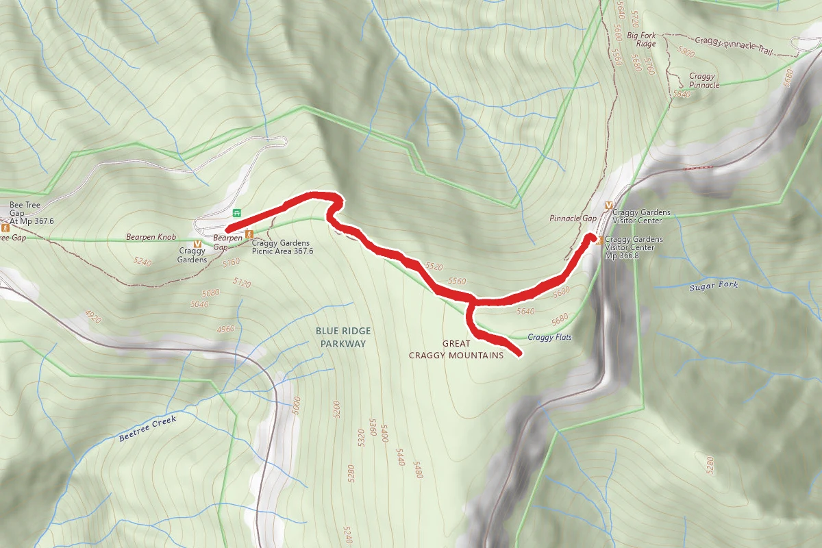 Craggy Gardens Trail