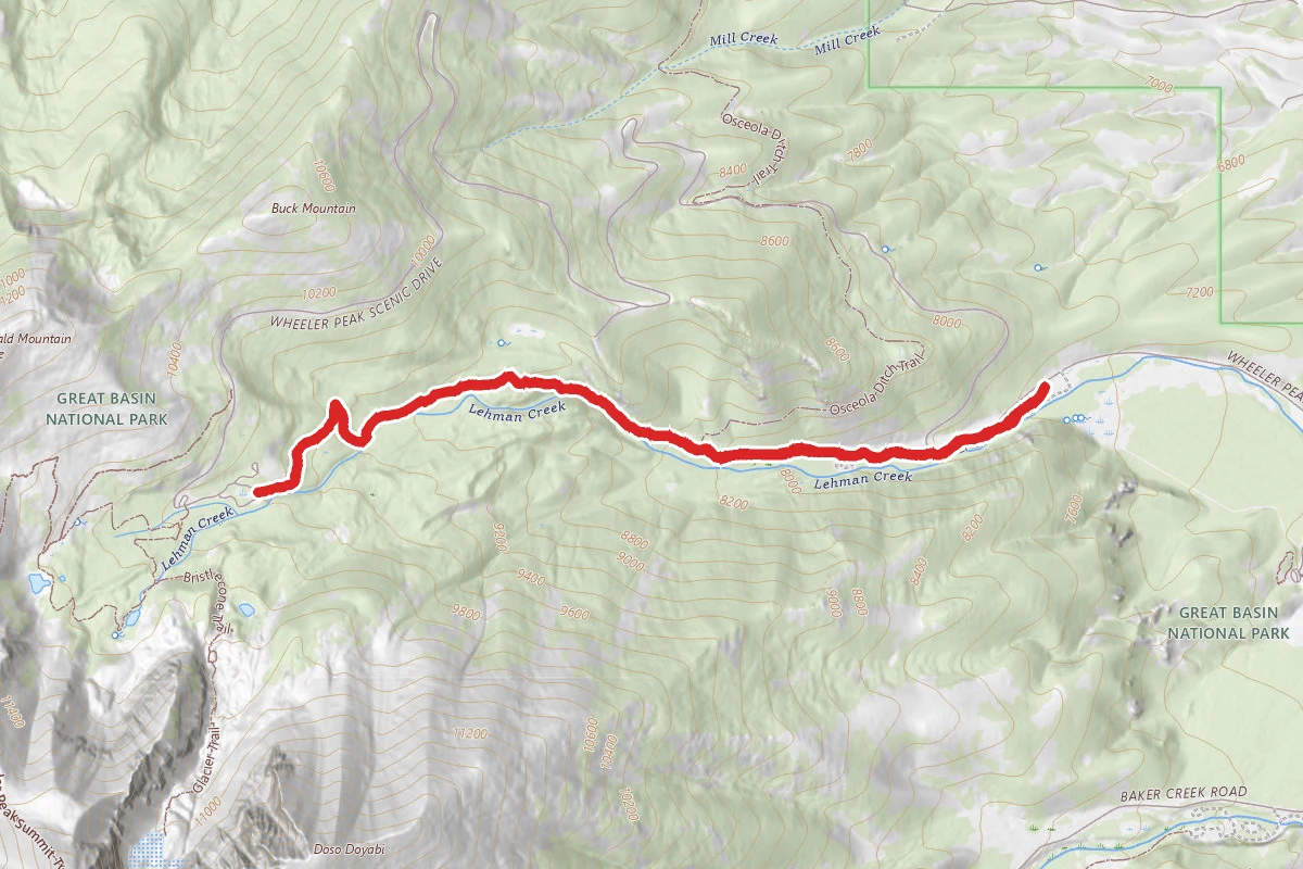 Lehman Creek Trail