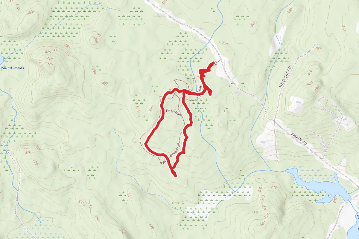 Barrington Town Forest