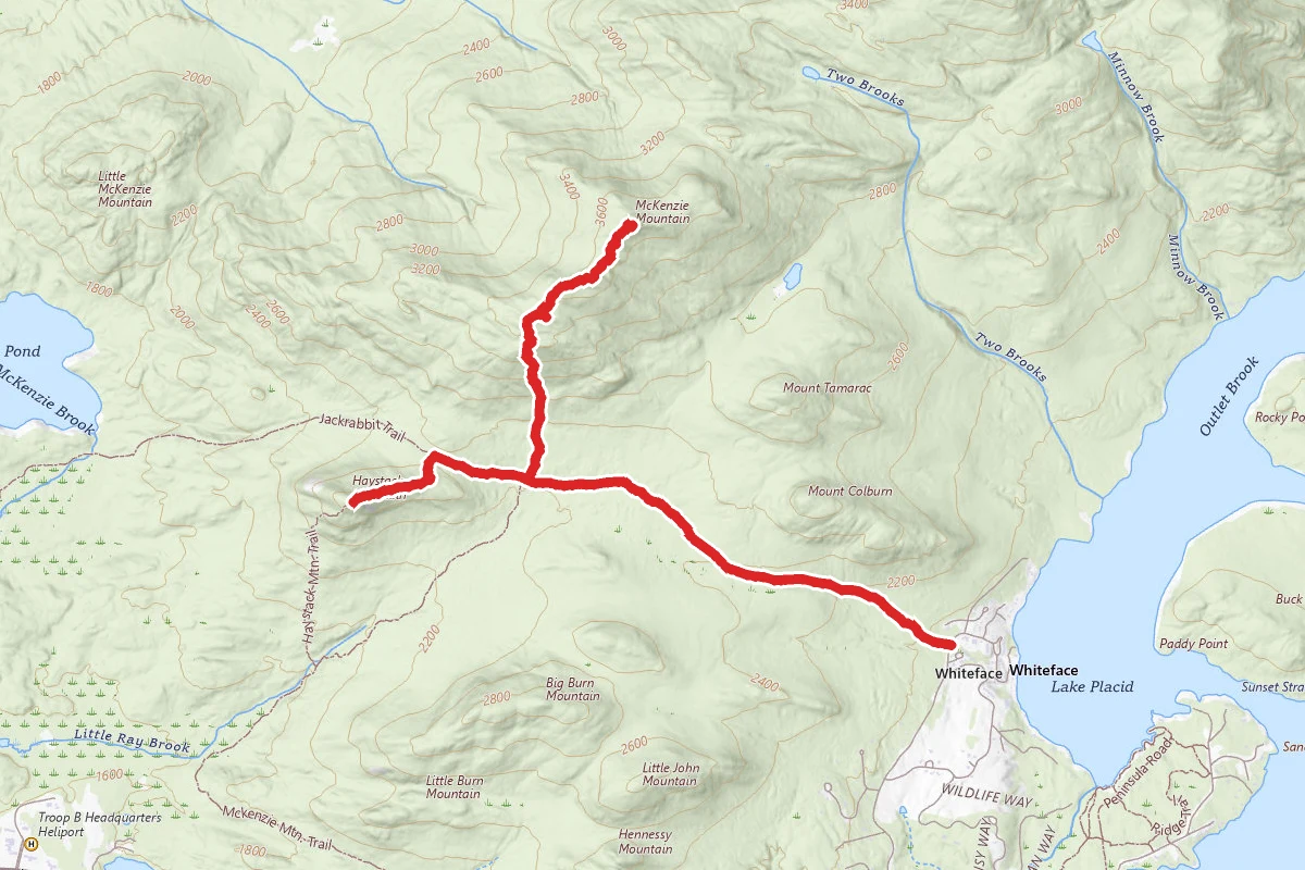McKenzie Mountain and Haystack Mountain via Jackrabbit Trail