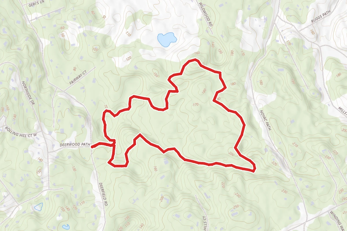 Mountain Laurel Loop Trail