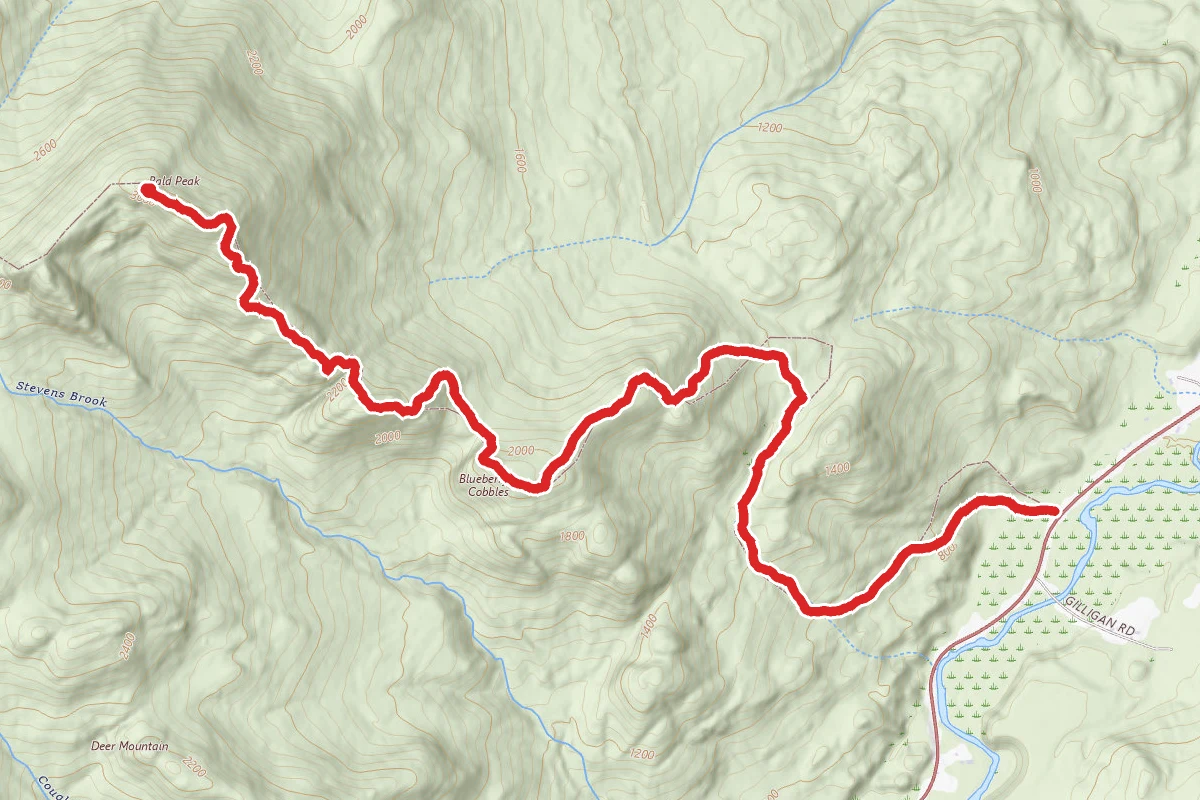 Bald Peak