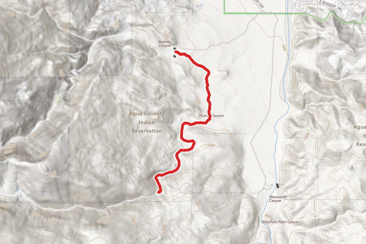 Murray Canyon Trail to Seven Falls