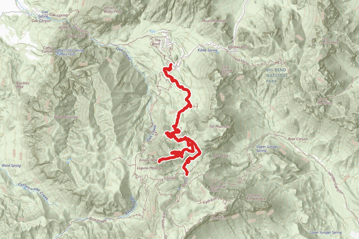 Emory Peak Loop via Pinnacles & Laguna Meadow