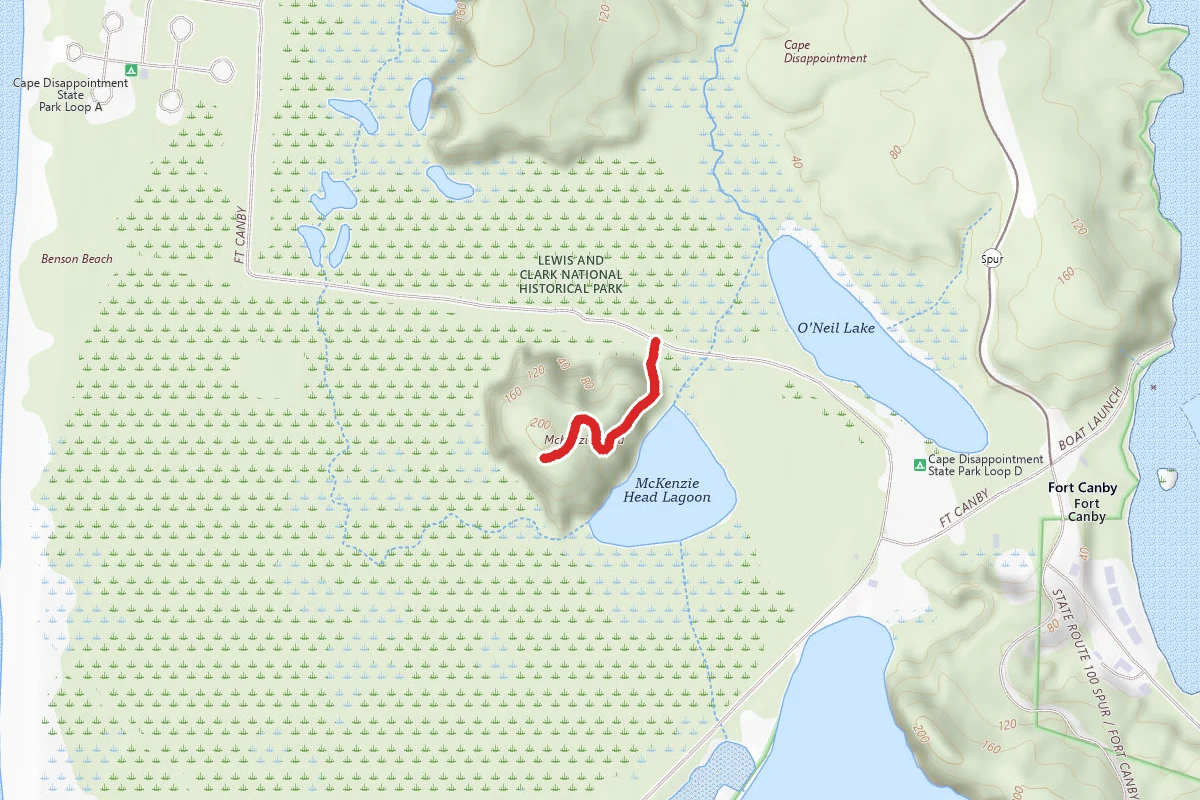 McKenzie Head
