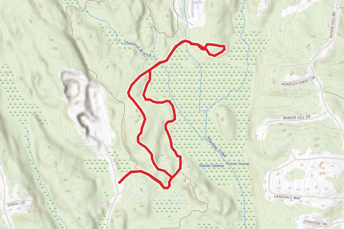 Green Rectangle Loop Trail