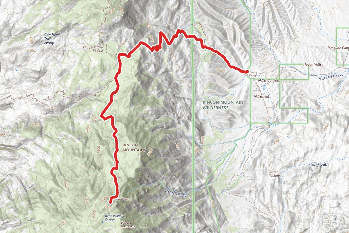 Rincon Peak Trail