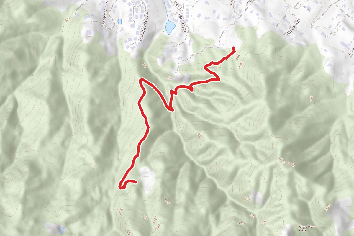 Hacienda Trail to Buena Vista Trail