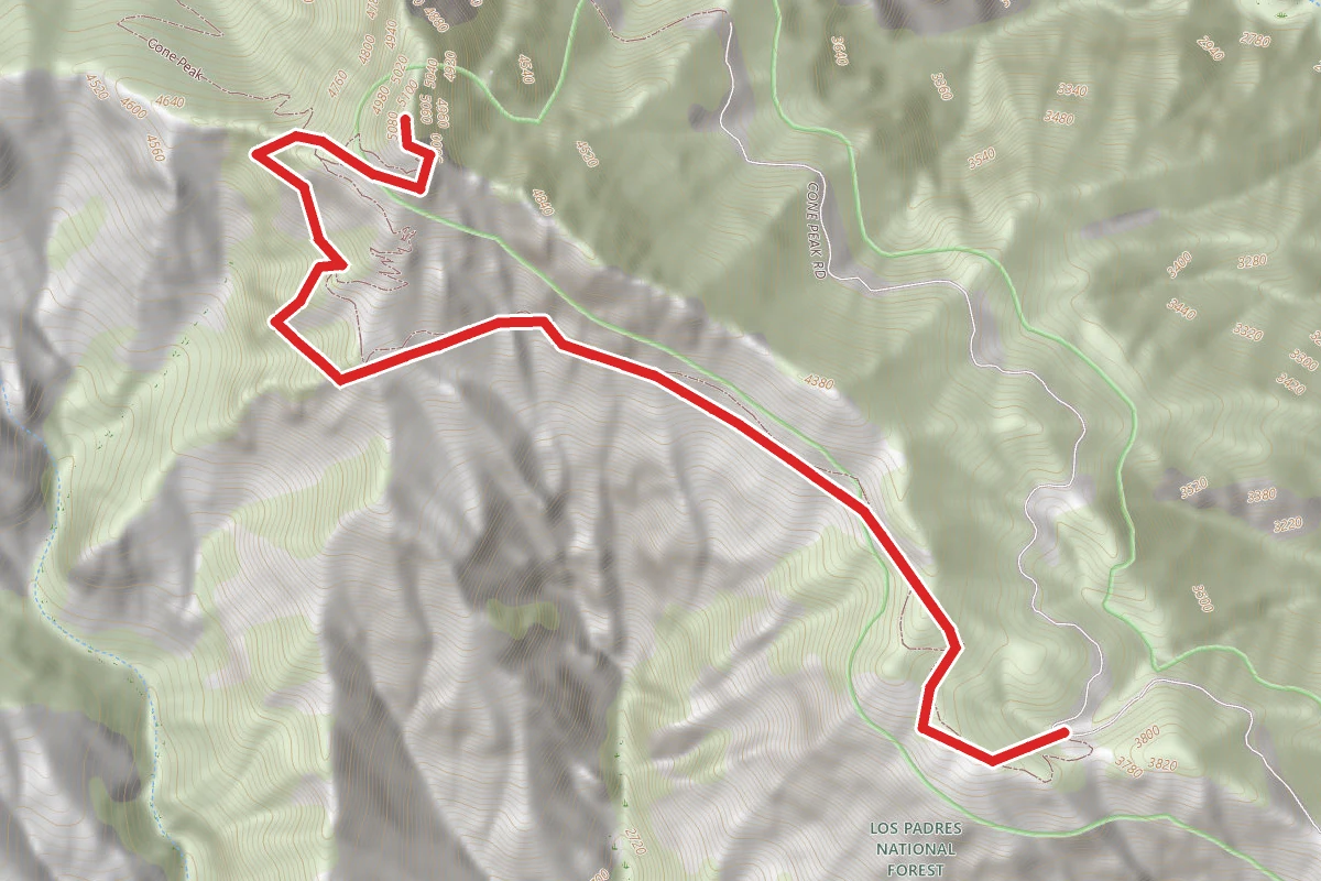 Cone Peak Summit Trail