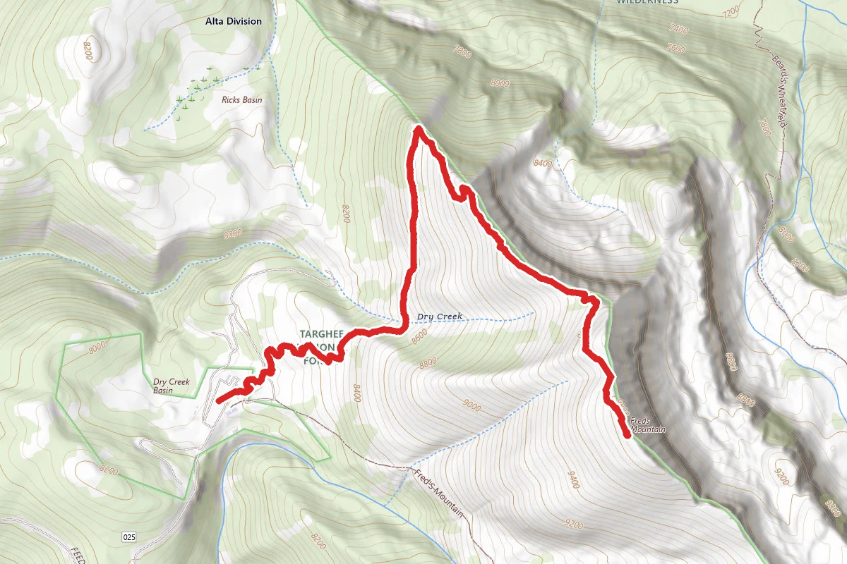 Fred's Mountain via Bannock Trail