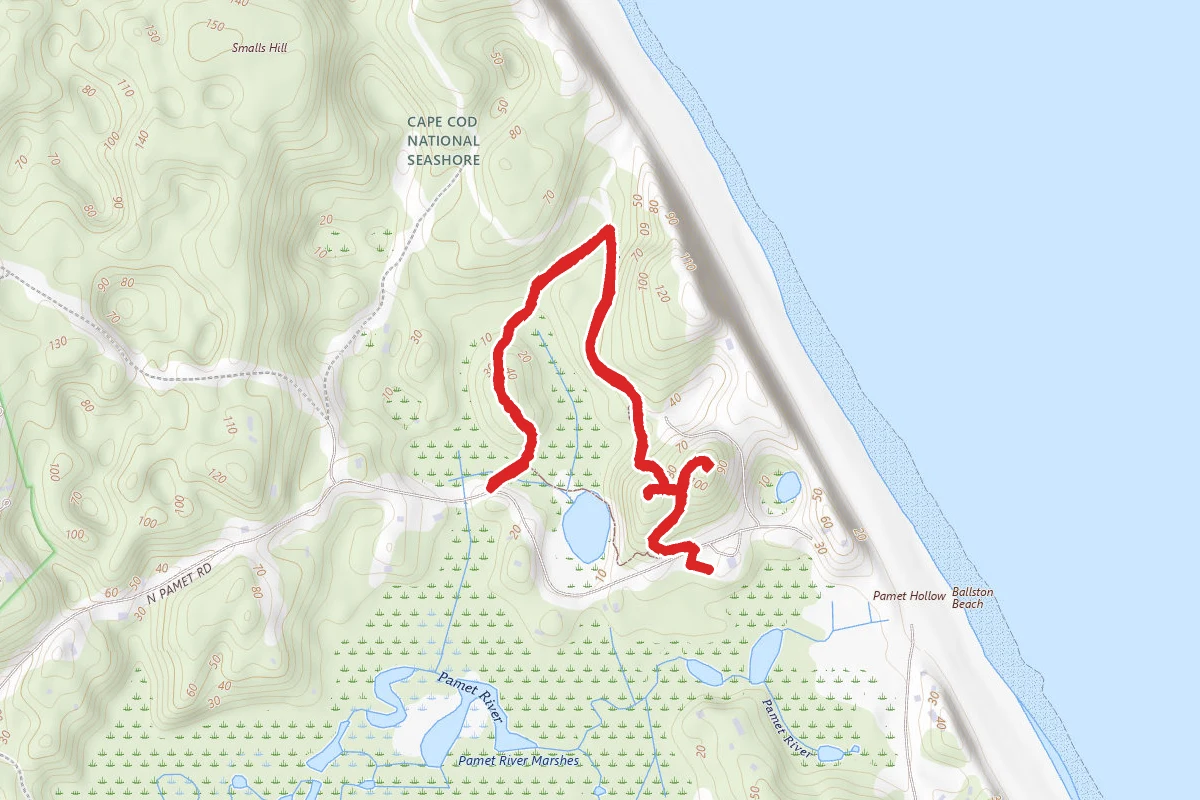 Pamet Cranberry Bog Trail