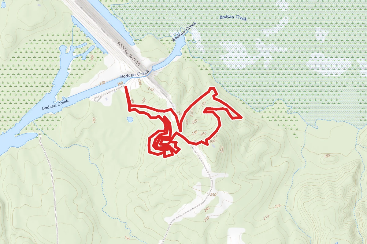 Bodcau Trail