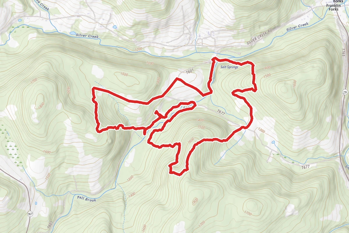Salt Springs Loop Trail