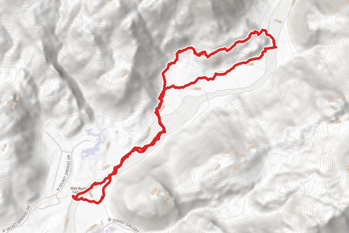 Lower Javelina and Wild Burro Short Loop