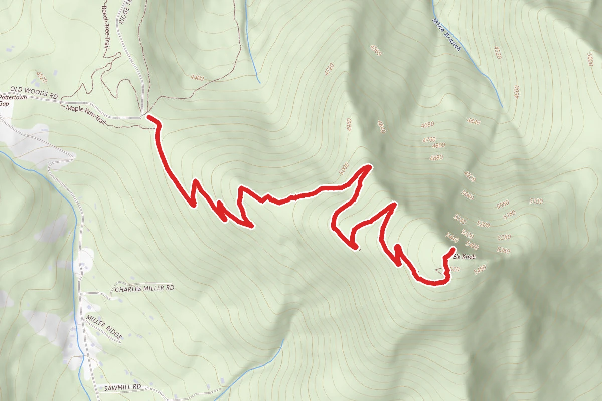 Elk Knob Summit Trail