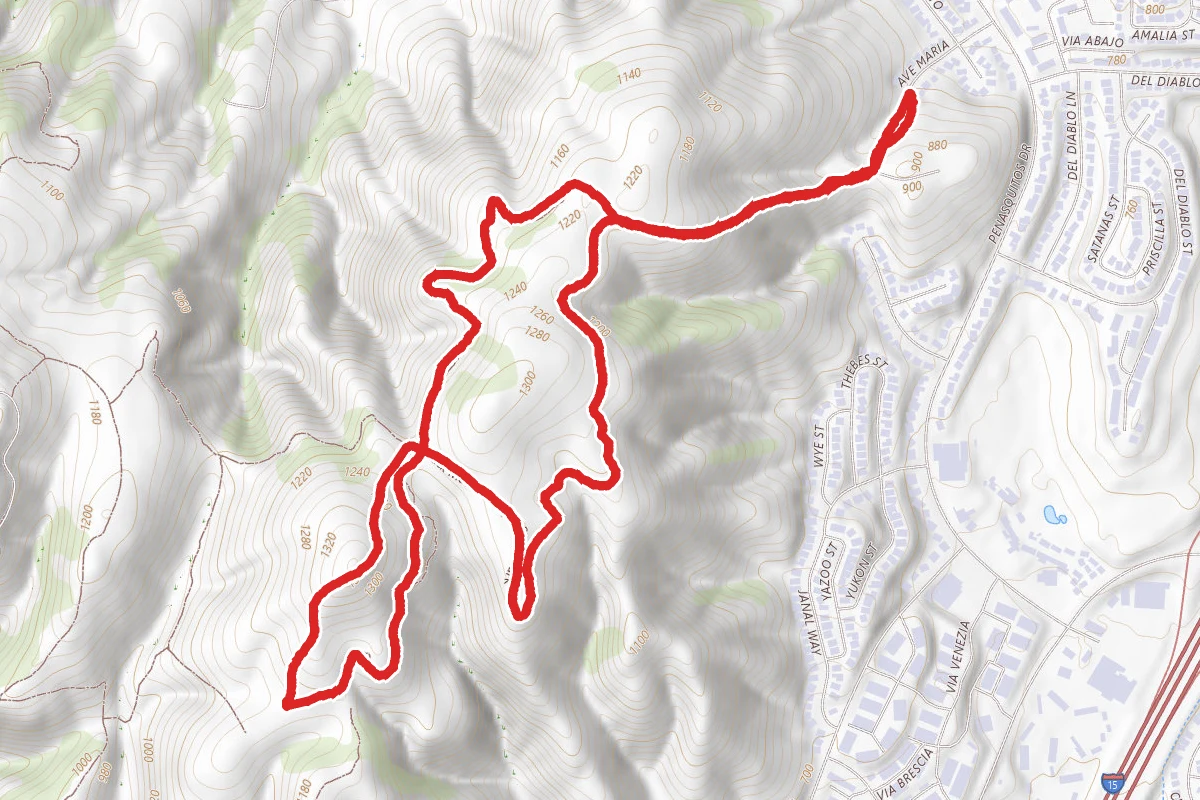 Manzanita and Road Runner Loop Trail