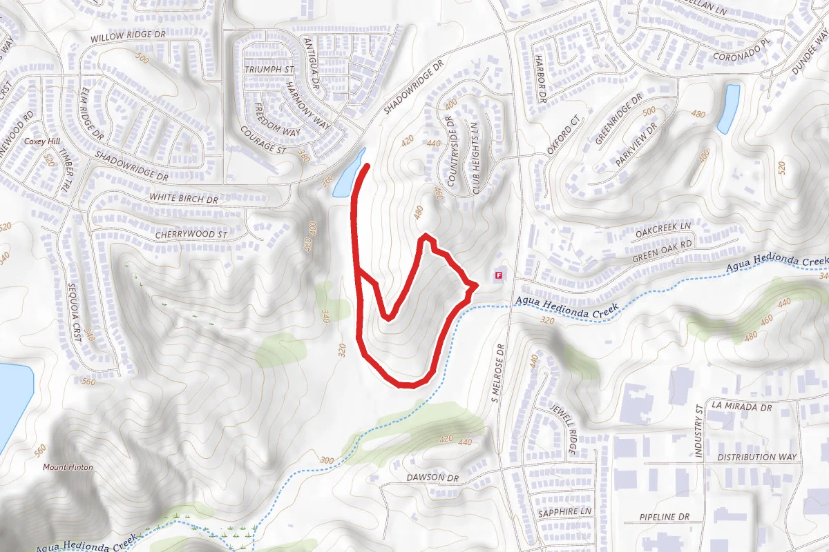 Buena Vista Park Loop