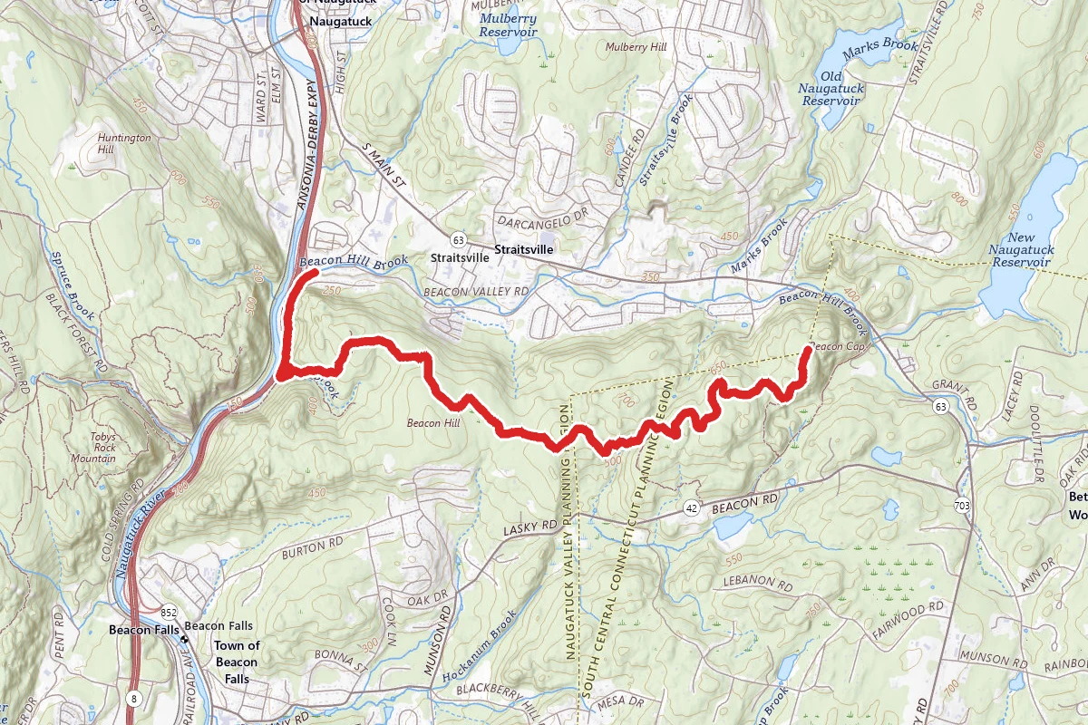 Naugatuck Trail to Beacon Cap from Naugatuck River