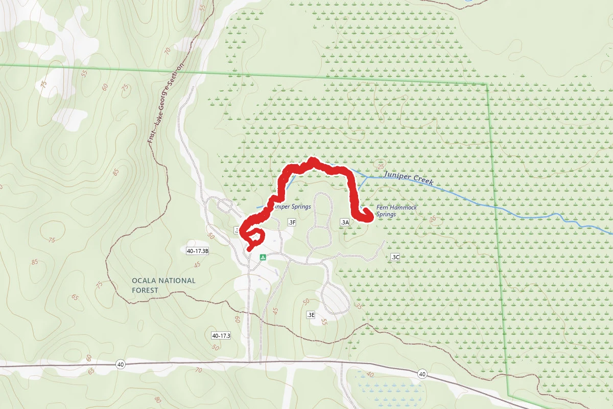 Juniper Springs Recreation Area Trail