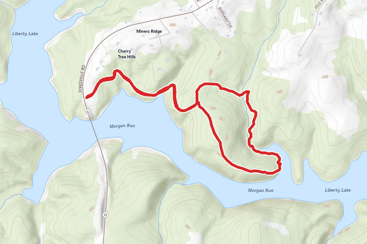 Liberty Reservoir from Cherry Tree Hills