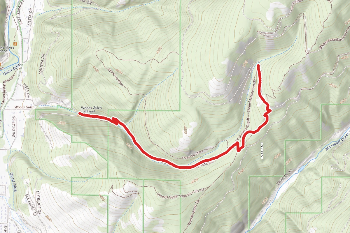 Woods Gulch Trail