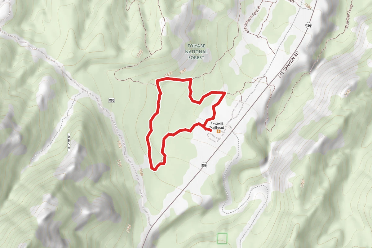 Sawmill Short Loop